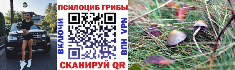 Галлюциногенные грибы ЛСД Кудрово